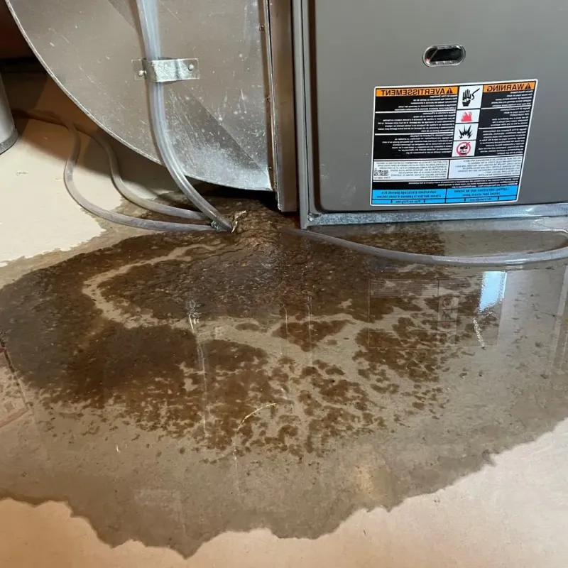 Pipe Burst and Leak Restoration in Woodland Heights, PA