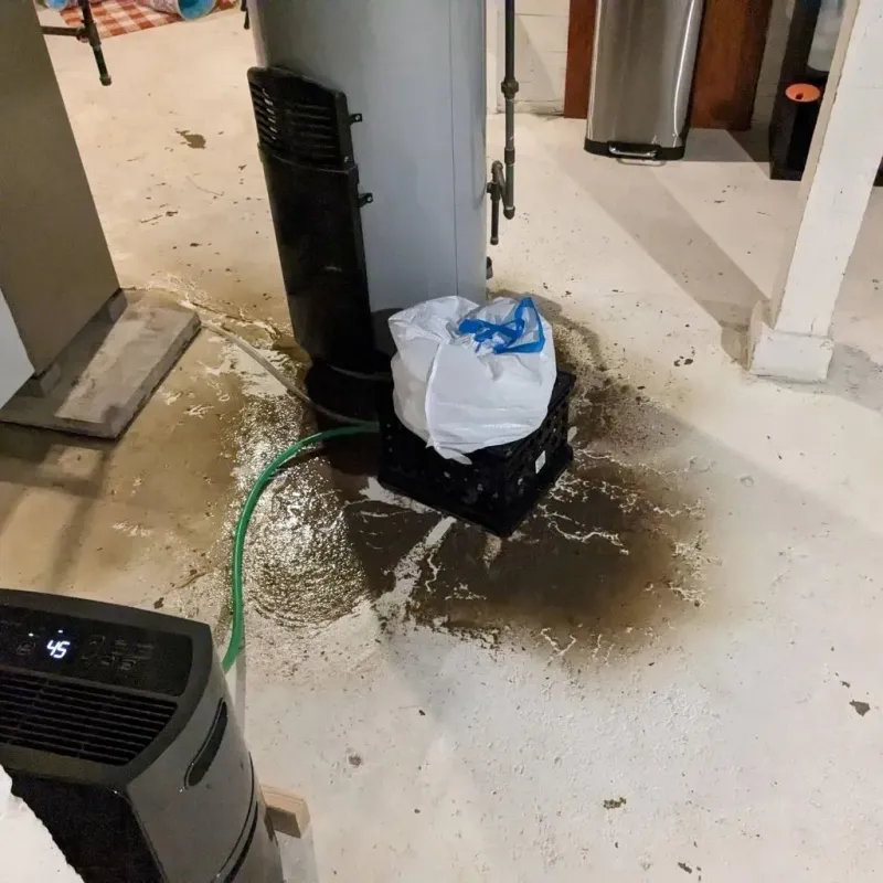 Sewage Backup Cleanup Service in Woodland Heights, PA